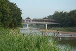 小河流水