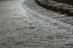 流水