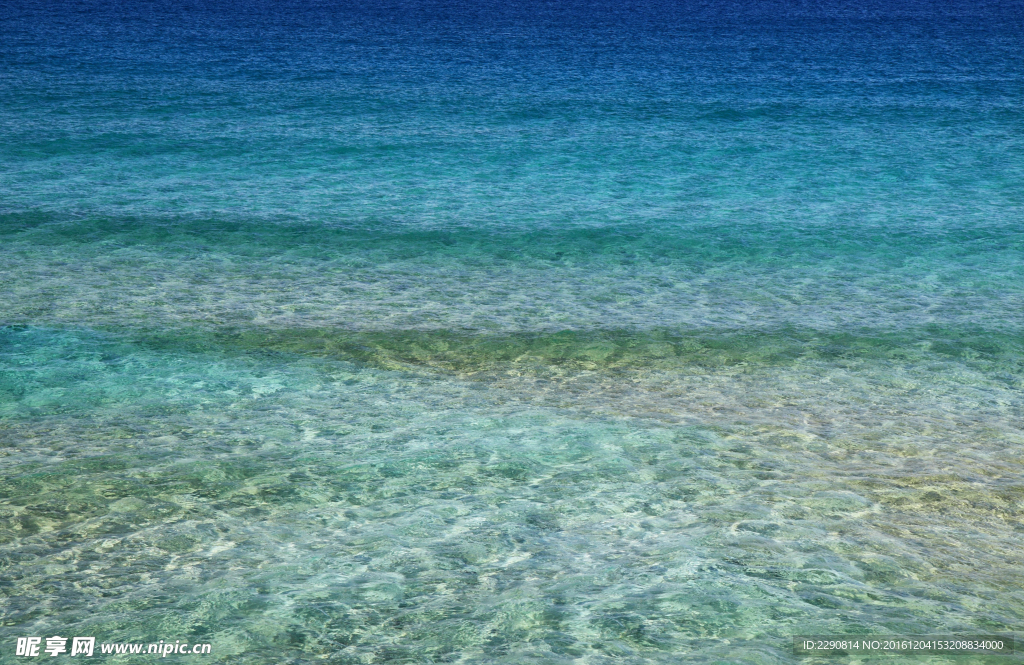 海