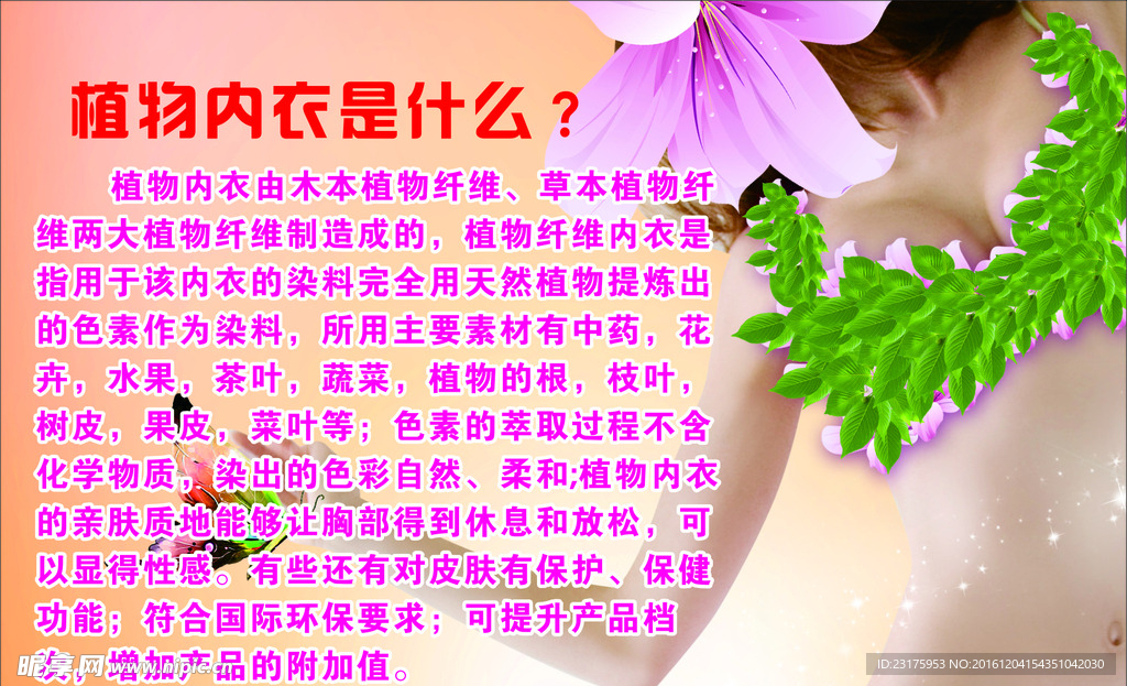 植物内衣
