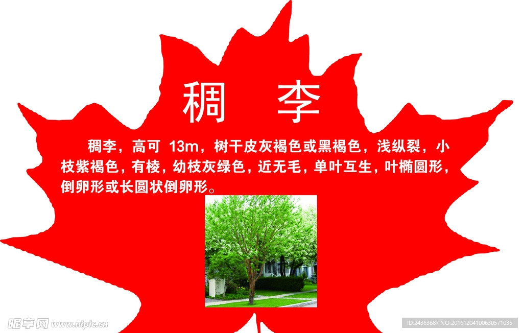 异形