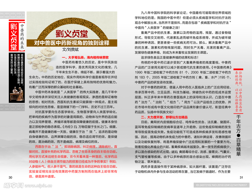 中药经典