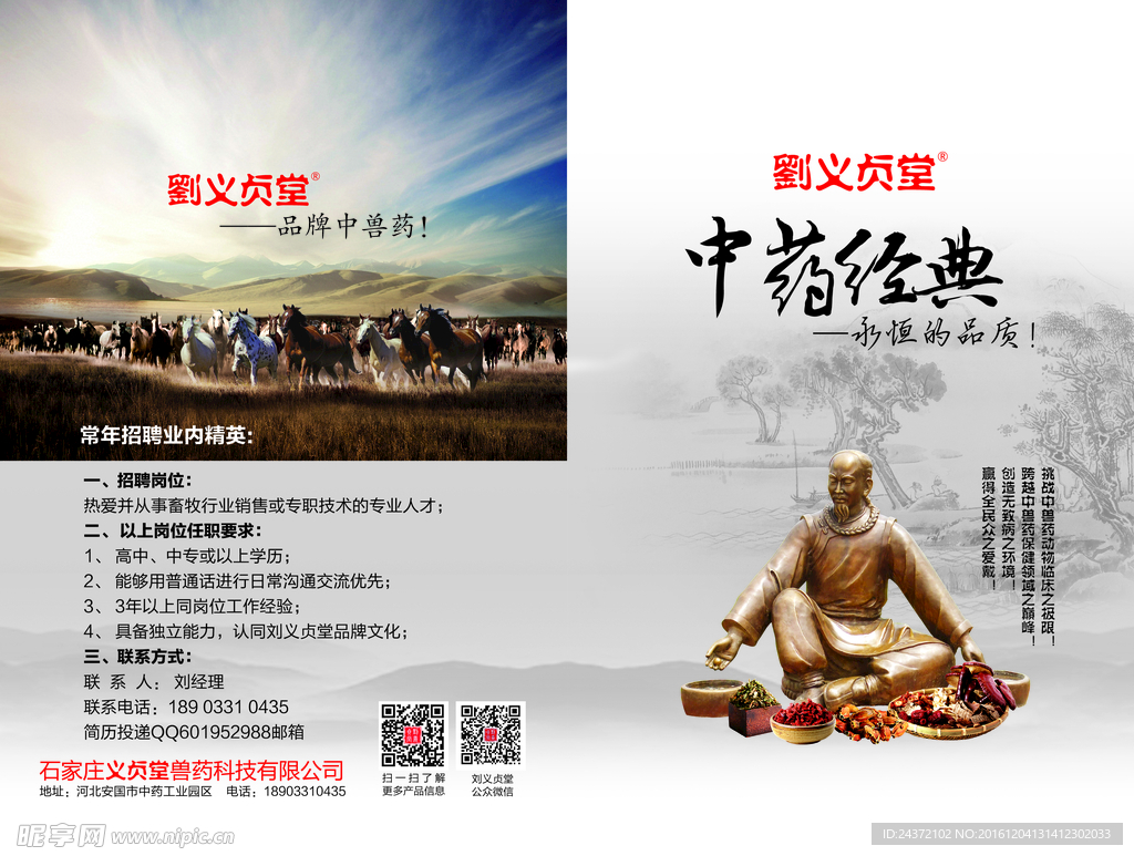 中药经典