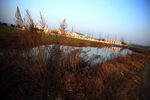 田间小河