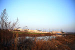 田间小河