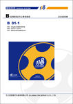 118二手车VI