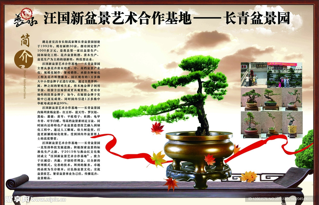 盆景 简介 中国风 艺术 展板