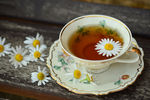 雏菊花茶