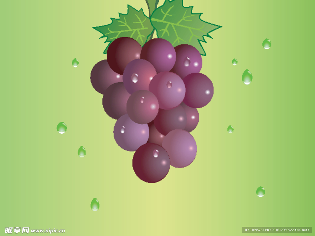 葡萄