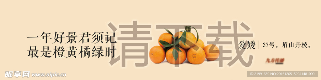 标签设计
