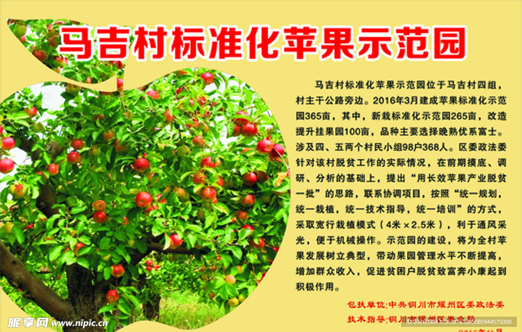 苹果示范园