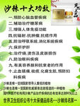 沙棘十大功效