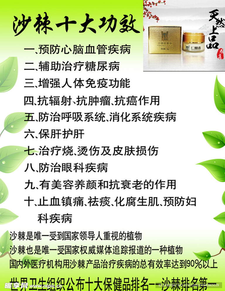 沙棘十大功效
