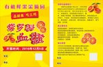 橙子传单