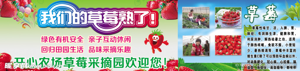 草莓采摘园