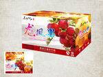 龙凤果包装盒平面展开图