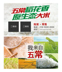 五常稻花香大米名片