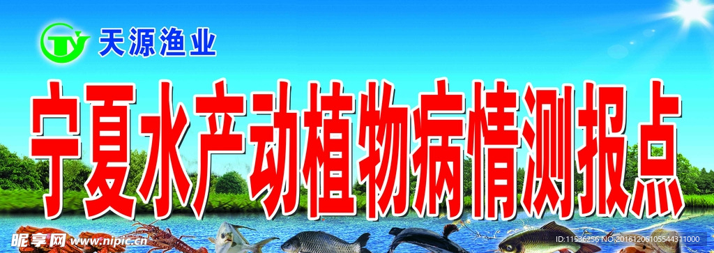 水产海报