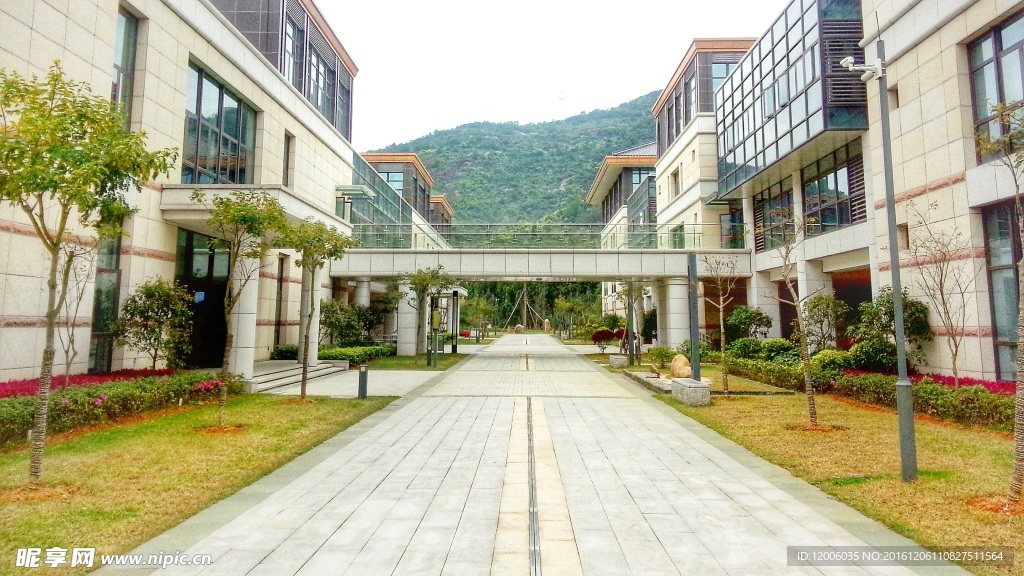 新华都商学院