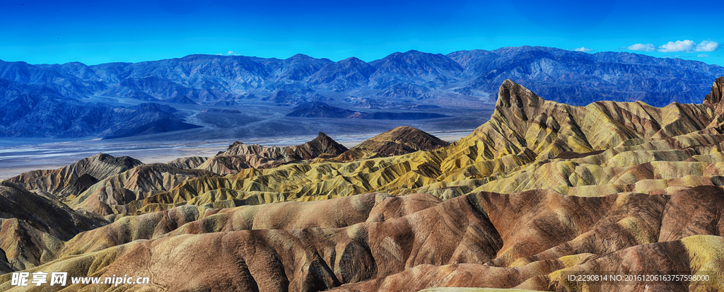 山