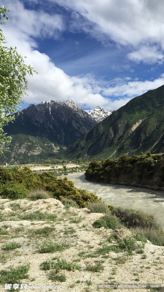 318风景