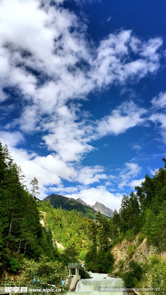 318风景