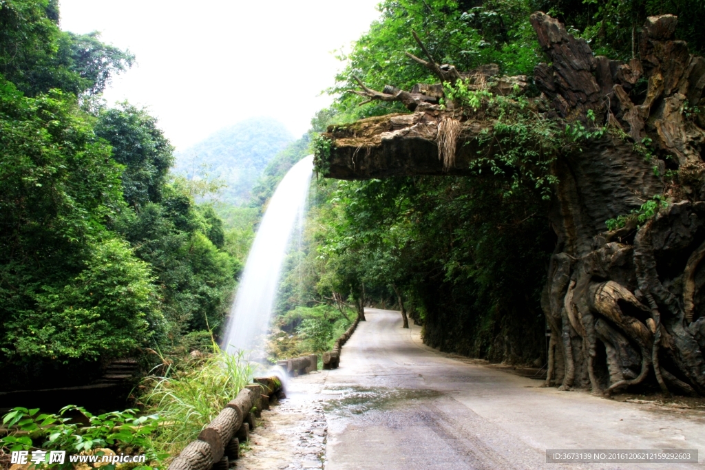 飞龙瀑