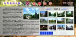 世界名校 哈佛大学