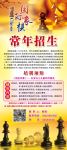 国际象棋