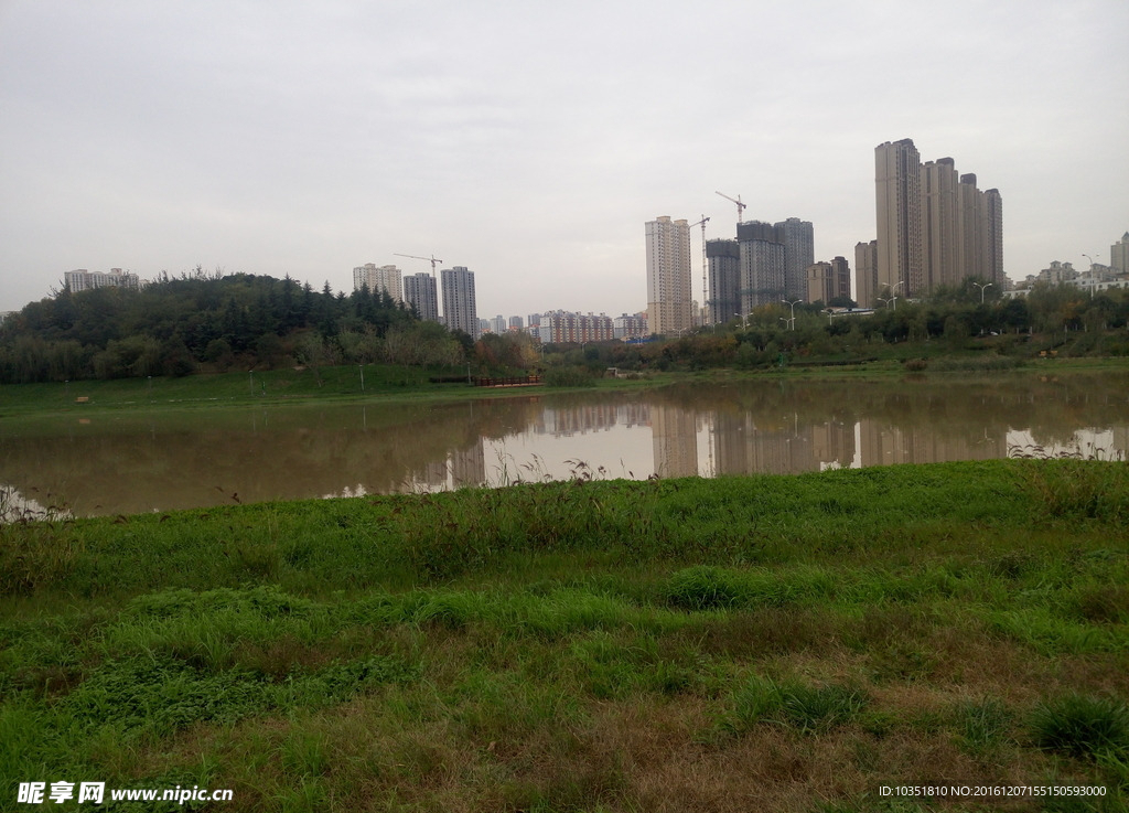 桃花潭湿地公园