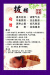 拔罐