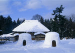 雪乡