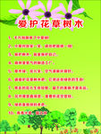 爱护花草树木