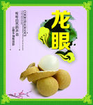 龙眼  灯箱