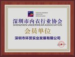 深圳市内衣行业