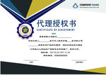 网络专营授权证书 企业授权证书