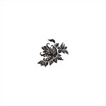 花纹