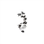 花纹