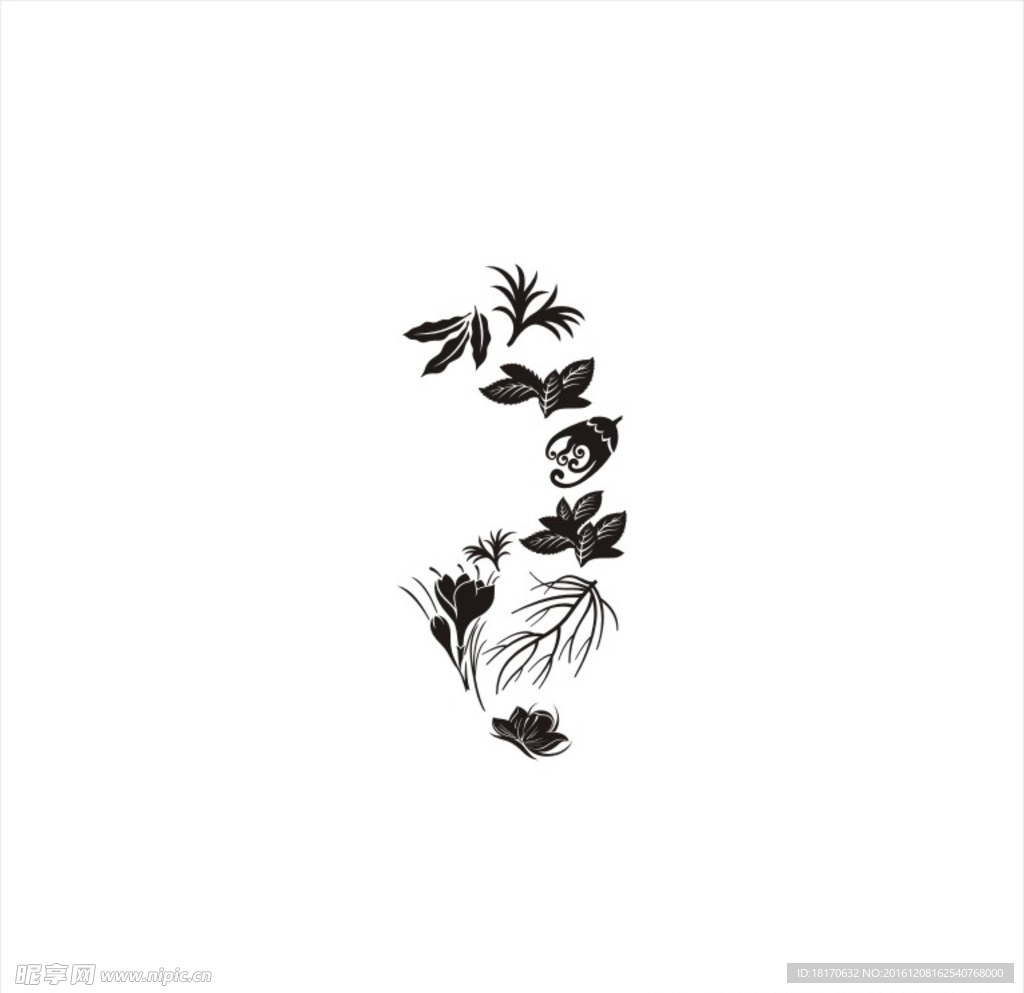花纹