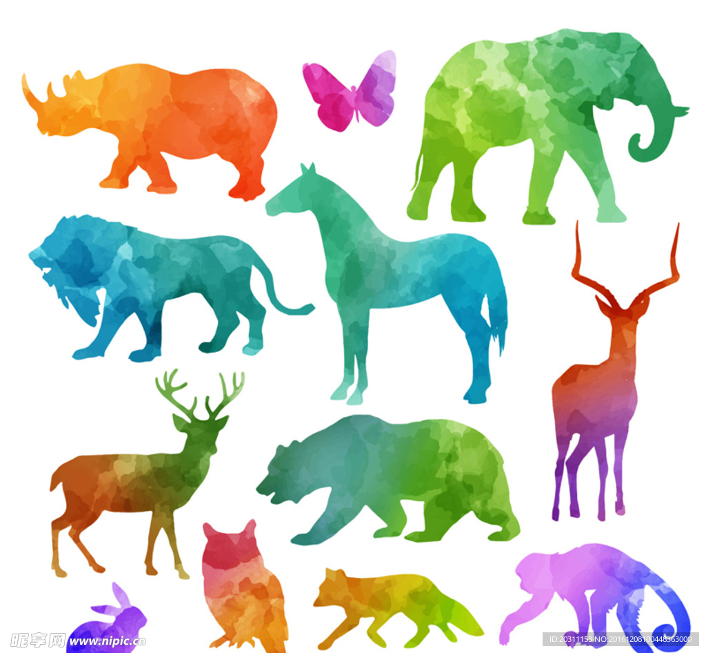 彩色野生动物