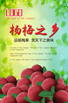 杨梅之乡