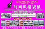 时尚风格袋鼠