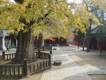 法王寺景色