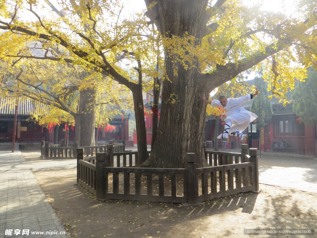 嵩山法王寺