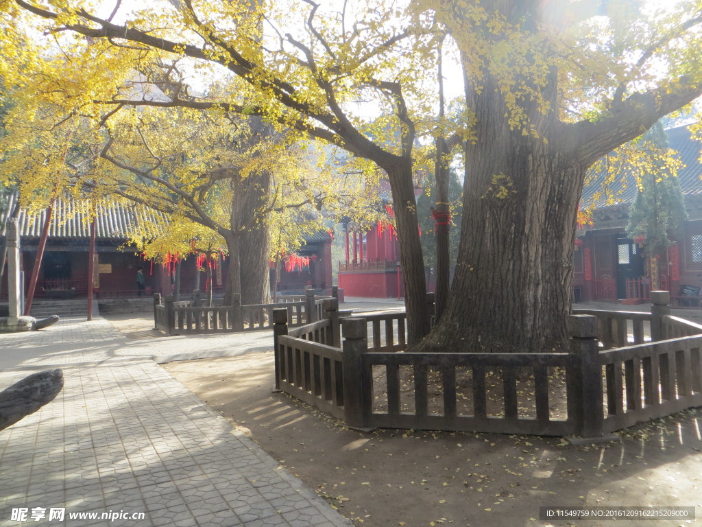 法王寺风光