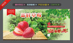 草莓海报 草莓展板