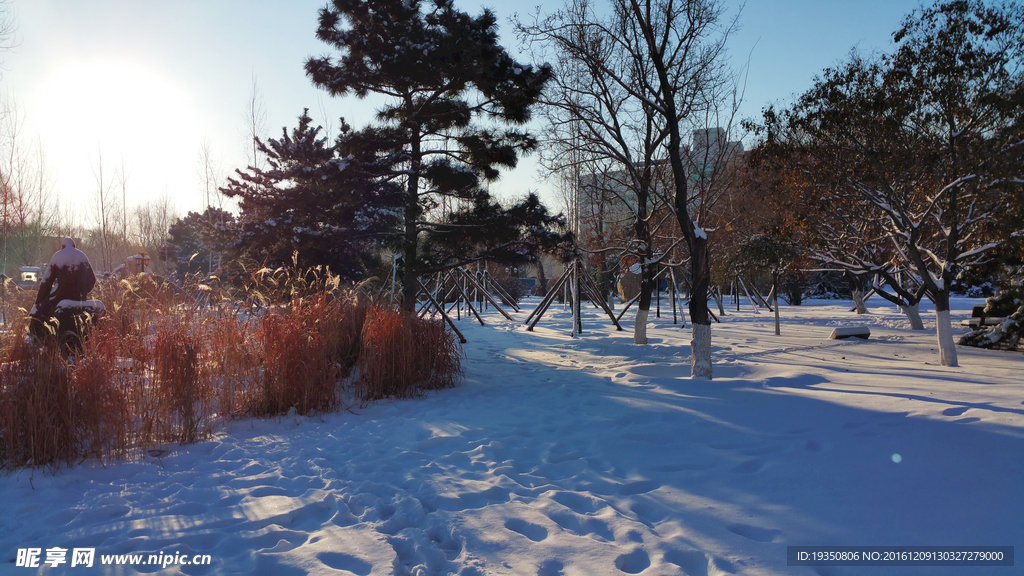 雪后的园林