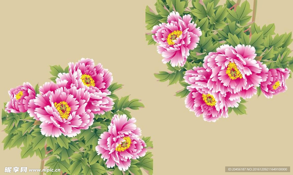 矢量牡丹花卉