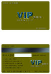 VIP会员
