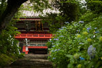 幽静寺庙